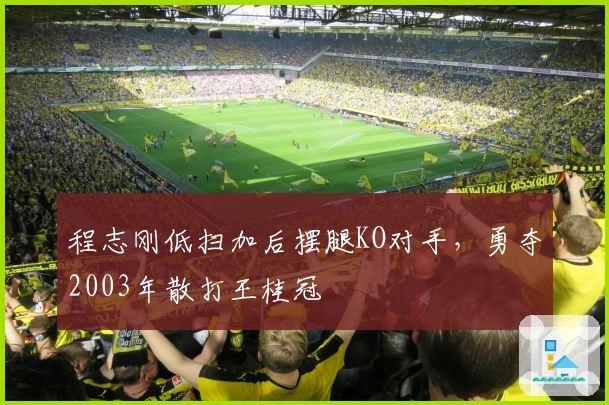 程志刚低扫加后摆腿KO对手，勇夺2003年散打王桂冠